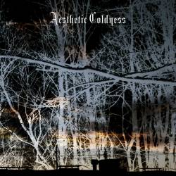 Müldeponie : Aesthetic Coldness